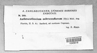 Image Associated With the Occurence